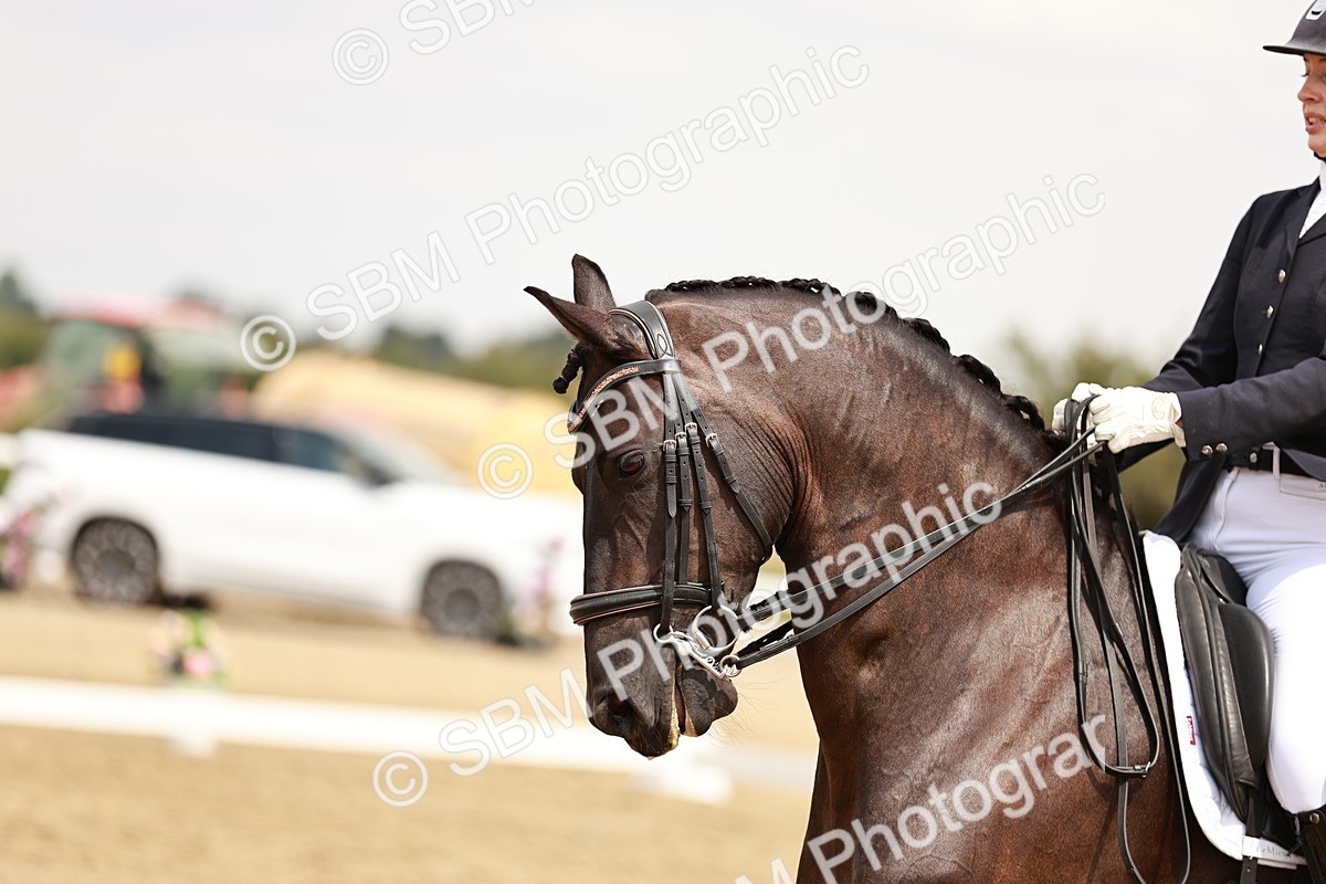 SBM_003693 - Class 7 - Advanced Medium 6 Gold - 13.16-14.36