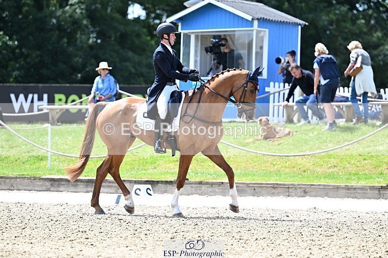 260529A-134047-10495 - G-773-Tommy.Greengard