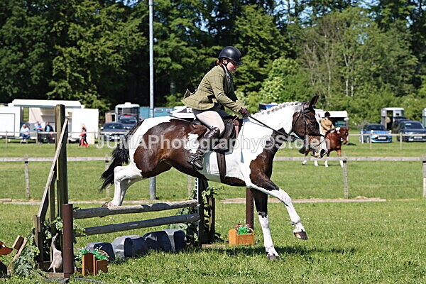 IMG_4108 - Working Hunter