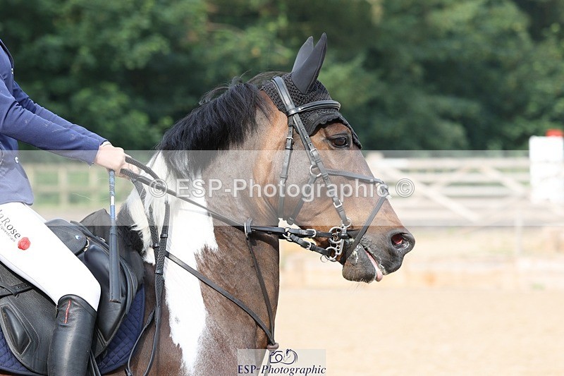 230617-084618-00374 - Cls 08a Pony 1.05