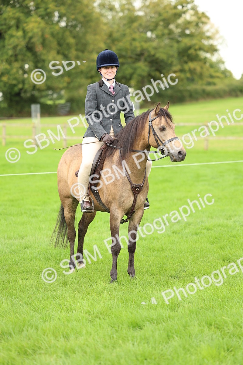 SBM_41856 - S32 - Mountain & Moorland Working Hunter Pony