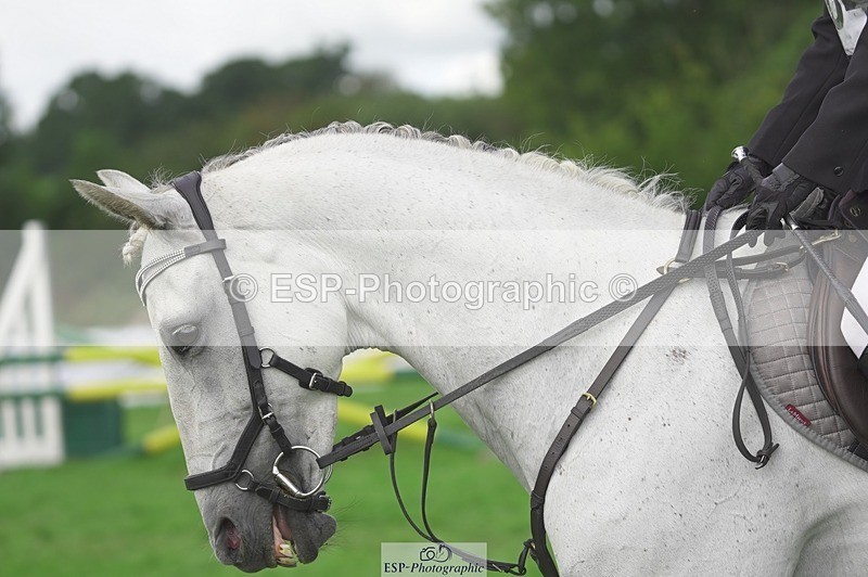 230820X-121914-0791 - BE100 SJ 12.08 to 13.00