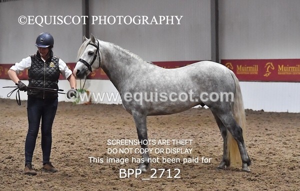 BPP_2712 - LOOSE JUMPING / SPSS