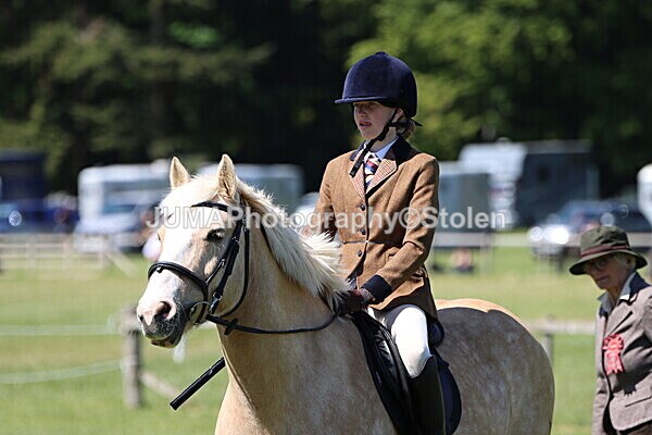IMG_3868 - Working Hunter