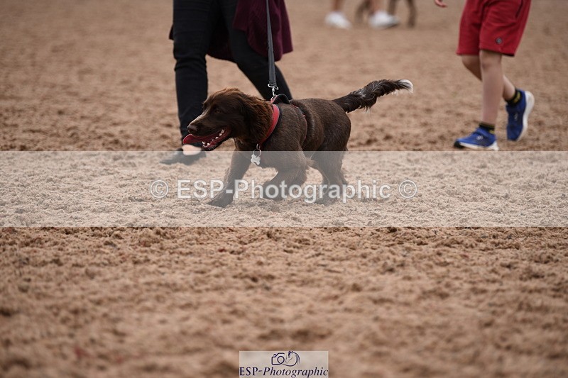 240518A-122312-01138 - Cls 4 Best Crossbred