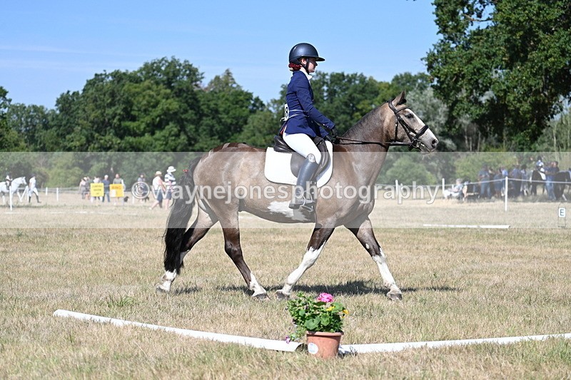 WJ7_0117 - Time 11:03 to 11:28