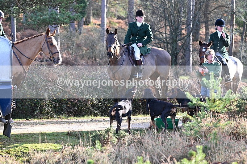 WJ7_7446 - Line 3 (no line 4 or 5)