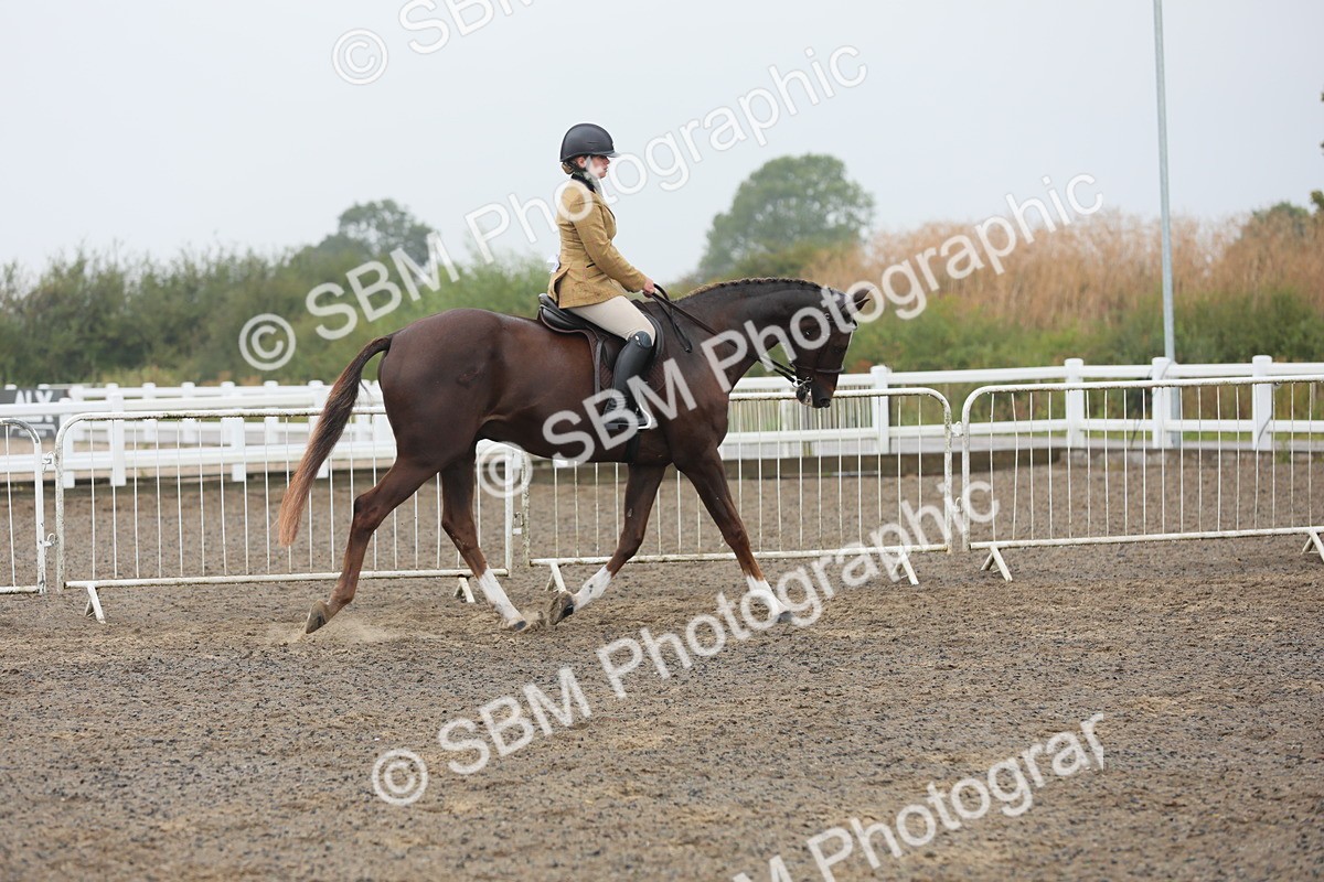 SBM_21226 - Class 805 - Ridden Veteran Horse
