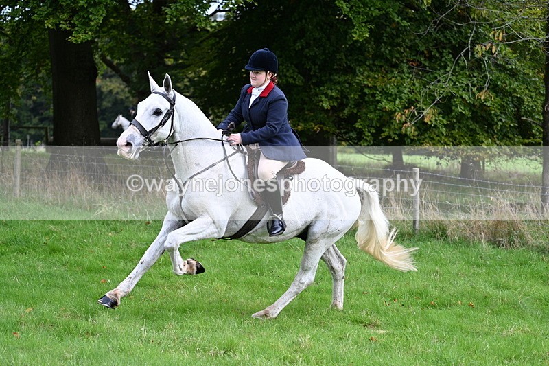 WJ7_4706 - Camera 1 Line 3