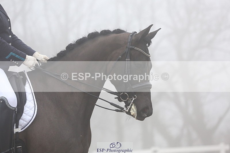 240217A-131445-03059 - 247-Fiona.Gair-BRS.Kingdom