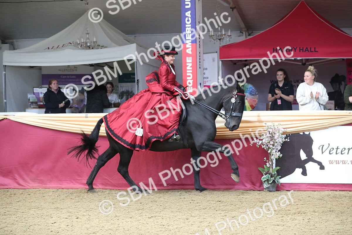 SBM_12218 - Class 107 Ridden Costume- Astride Adult (20+)