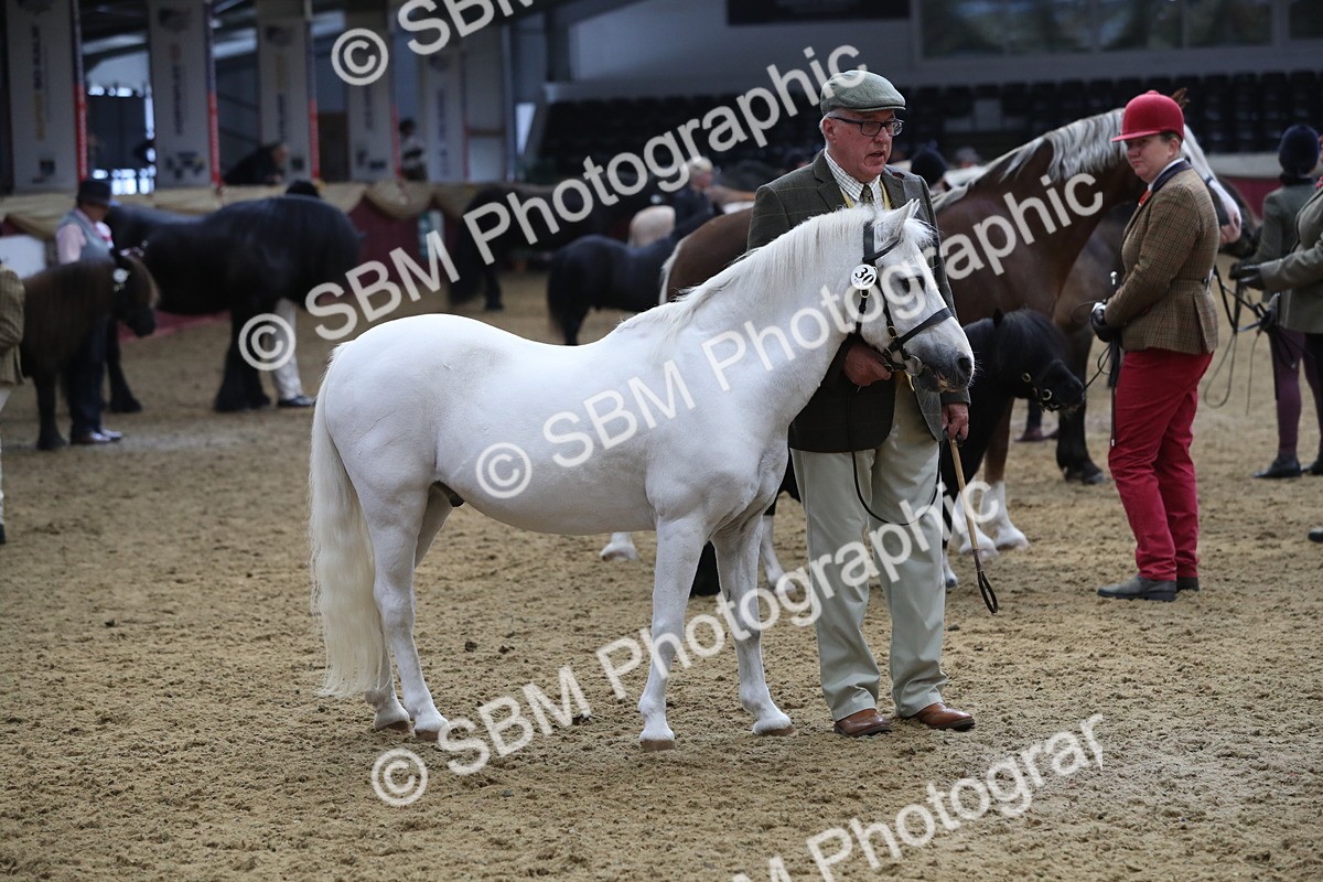 SBM_15326 - Class 501 M&M IH Supreme Final