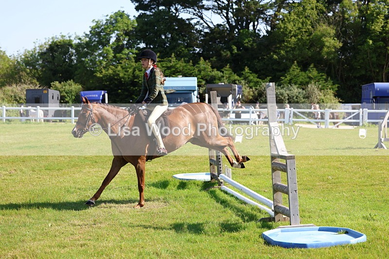 3E7A5910 - Class 27: Novice Working Hunter Pony