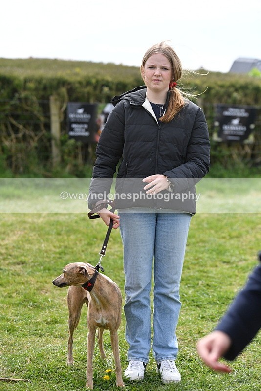 WJ5_9851 - Class 3 Most Handsome Dog