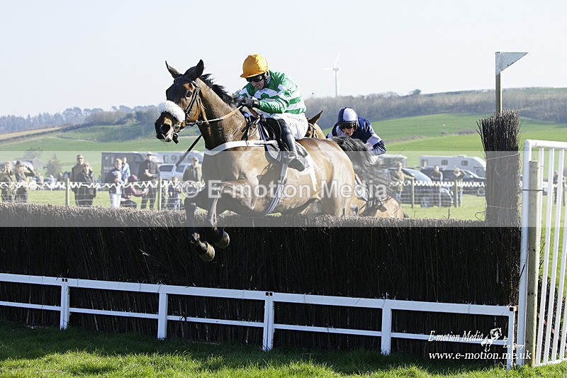 PtP 190322 586 - Wilton Hunt PtP Milborne St Andrew 19/03/22