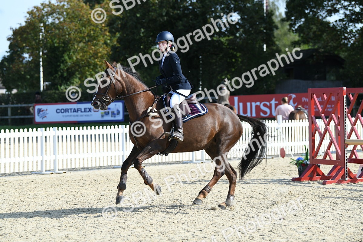 SBM_61641 - j25 - Junior Horse 80cm Championship