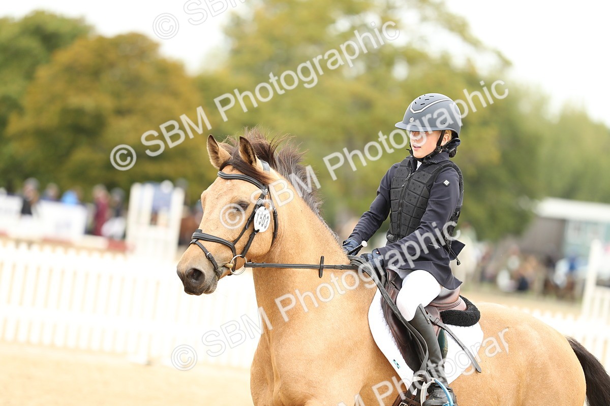 SBM_59526 - J25 - Junior Horse 80cm Championship