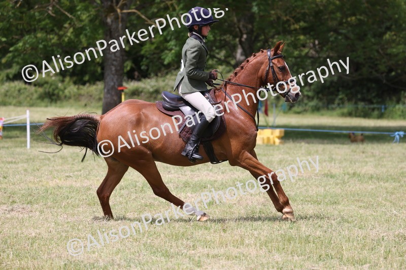 20260614-1875 - Class 21 - Novice Working Hunter Pony