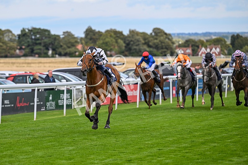 170925-Race 4-Dunkeld Dreamer-4886 - Race 4