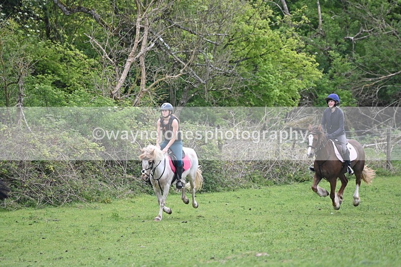 WJ6_3286 - A camera