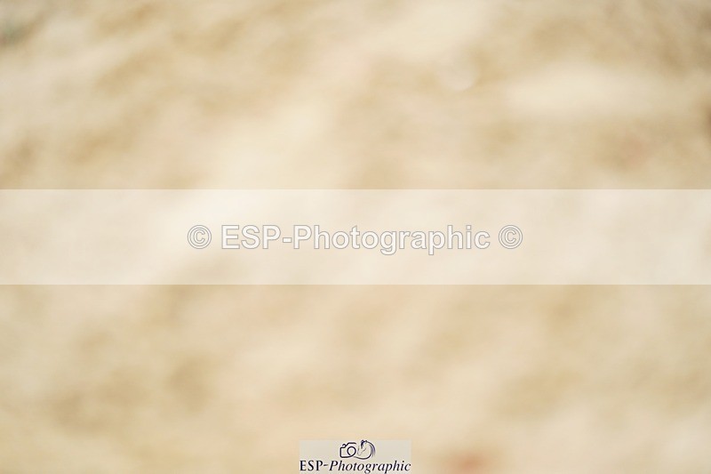 240309-131414-00845 - Cls 02 AE 80cm