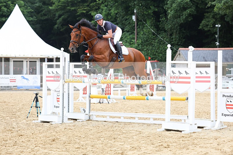 3E7A6394 - Class 8: Senior Newcomers/1.10m open