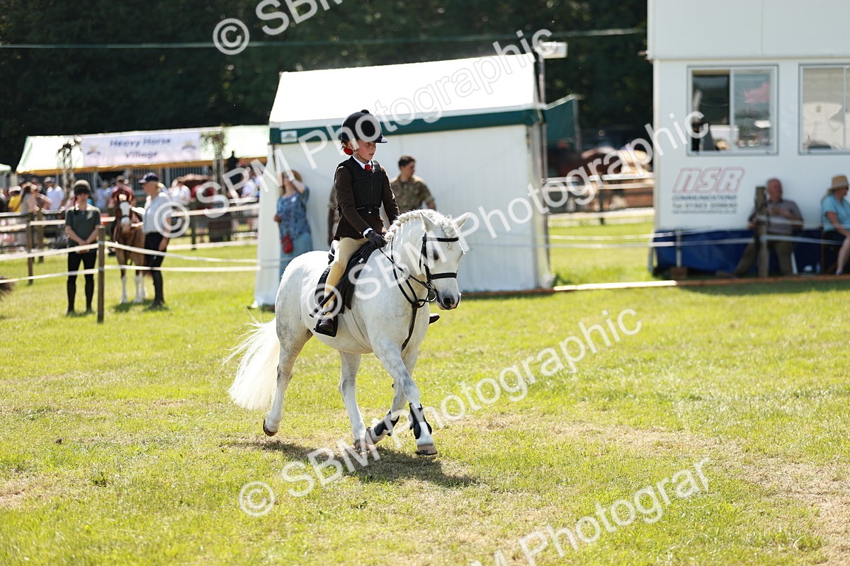 SBM_13547 - Class 108-109 - BSPS LIHS Open Gradle & Nursery Stakes