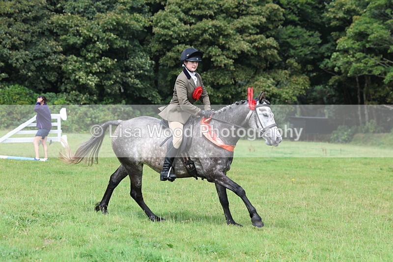 3E7A6199 - Working Hunter Championship