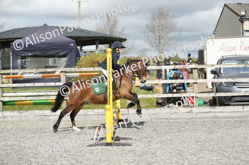 20260412-0755 - Show Jumping
