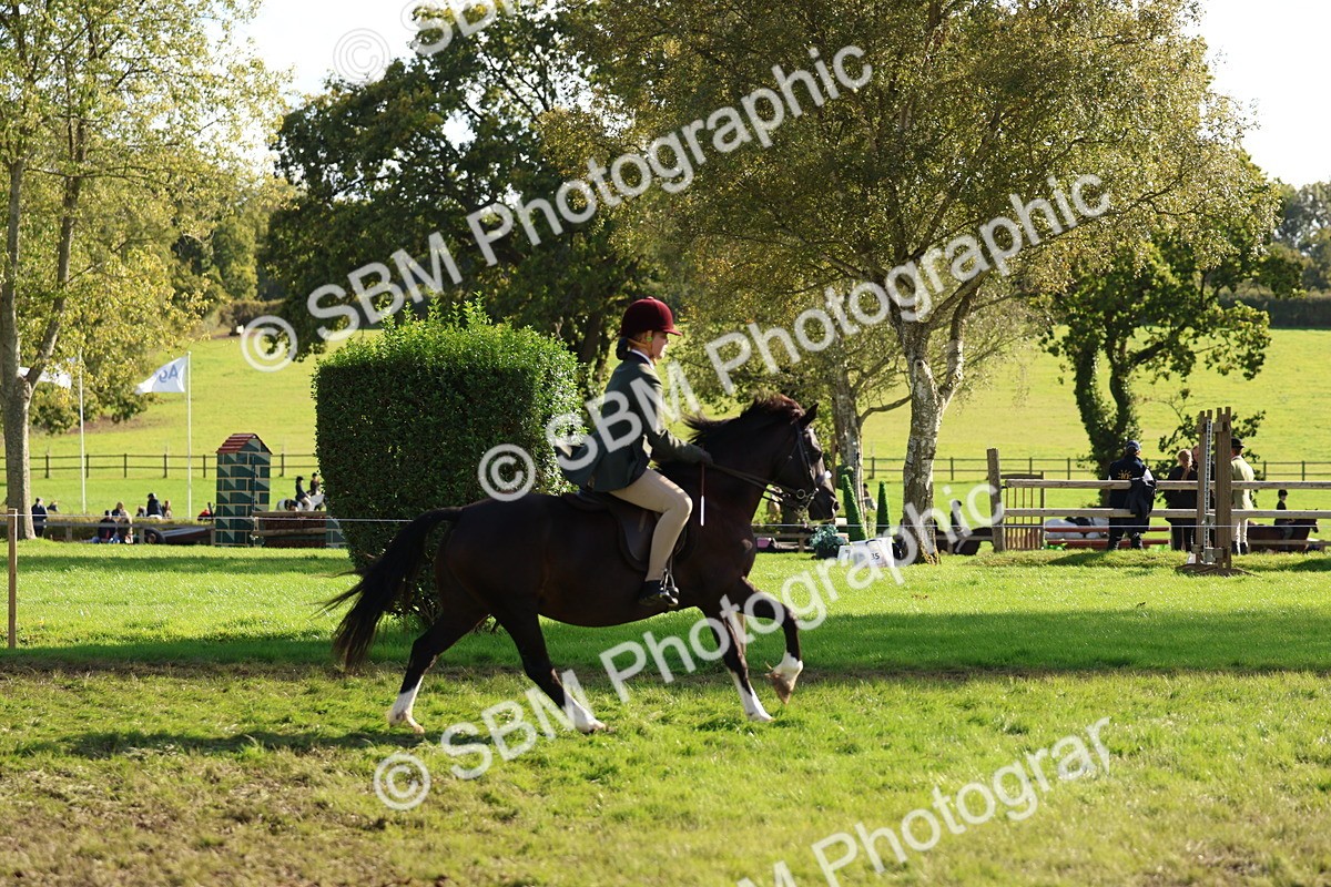 SBM_52398 - S13 - Pony Club Pony