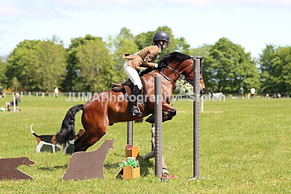 IMG_3731 - Working Hunter
