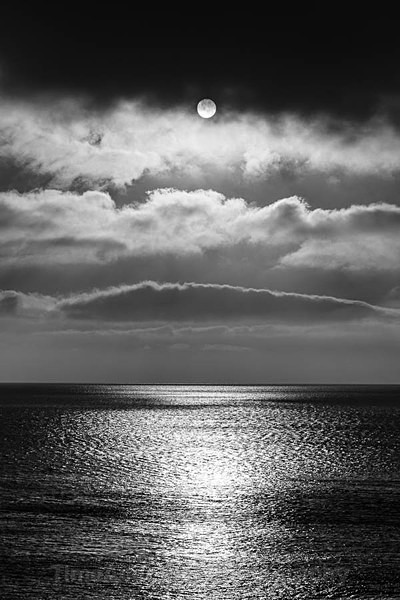 Rinsey - Black & White