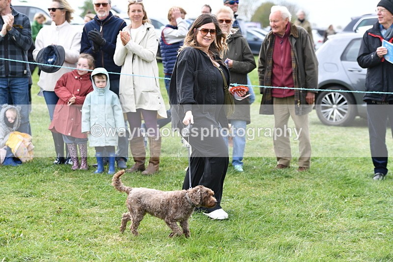 WJ5_9434 - Class 1 Best Cross Breed / Heniz 57