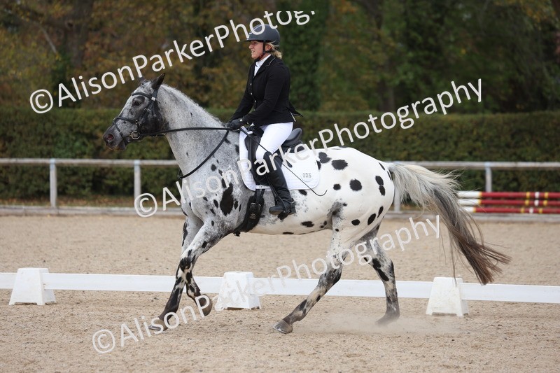 20261010-0713 - Class 6 - Novice 2