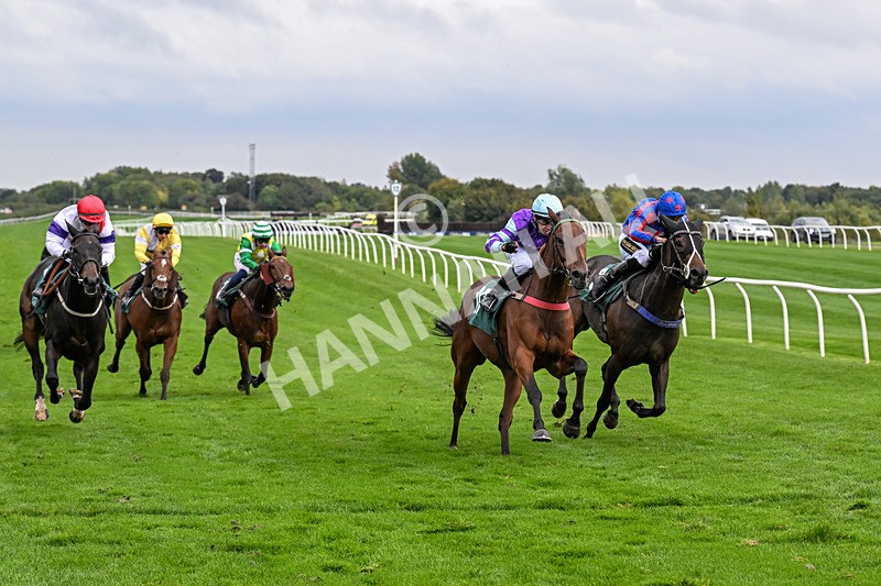 011025-Race 5-Blue Jay Way-0484 - Race 5