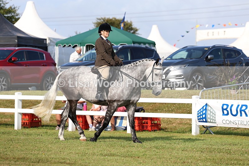 3E7A8465 - Class 3: Rising Star S/L Hunter