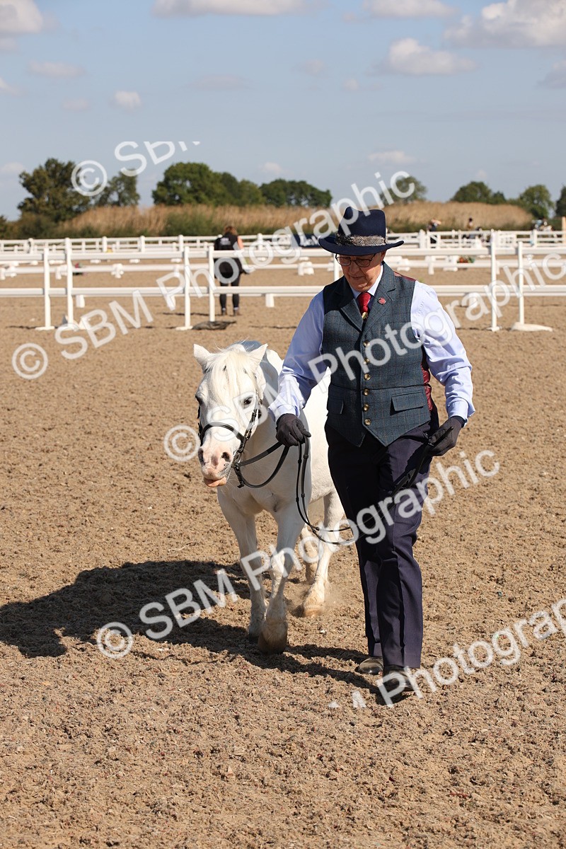 SBM_02756 - Class 16 IH M&M Wildcard