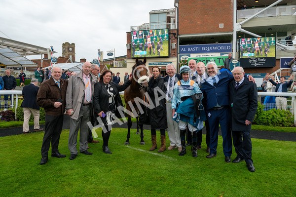 150624-Race 5-The Strikin Viking-4931 - Race 5 4.10pm Reg Griffin Appreciation ebfstallions.com Maiden Stakes