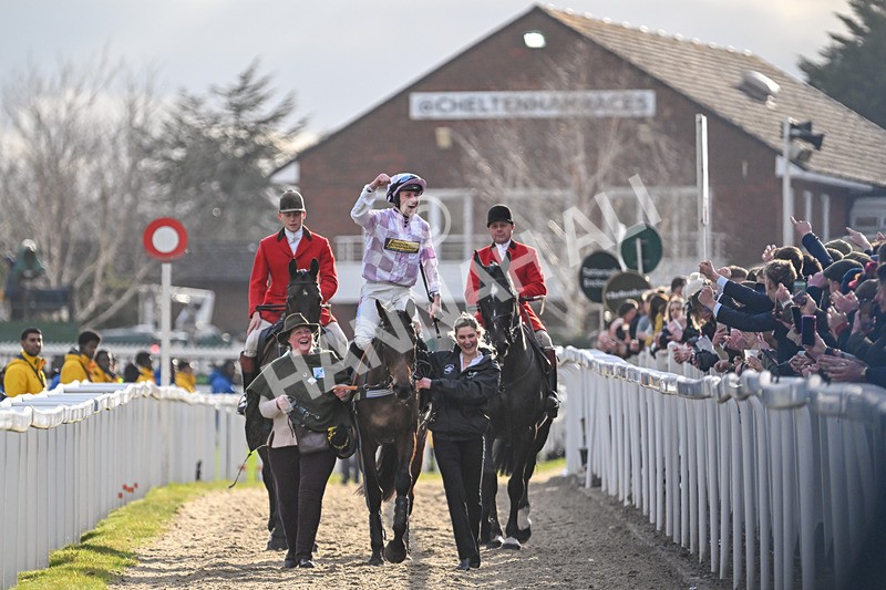 110325-Race 5-Golden Ace-3254 - 11th March