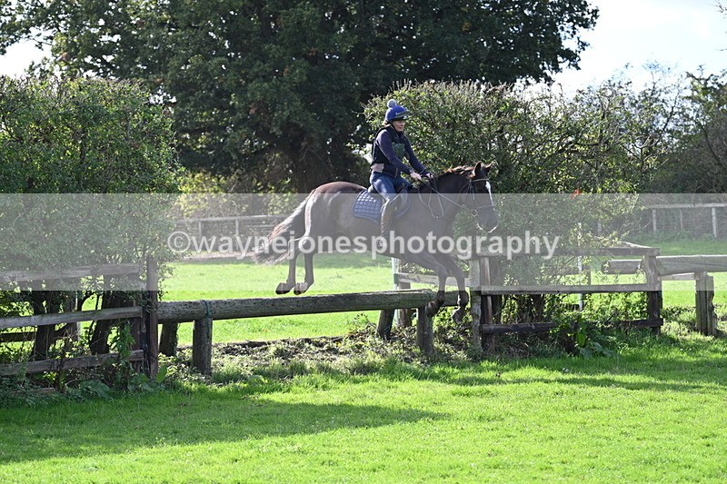 WJ7_7721 - Time 10:30 to 11:38