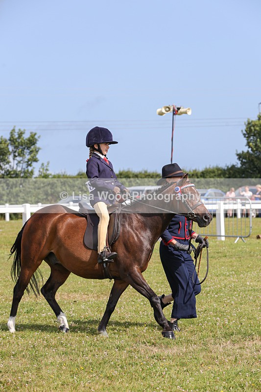 1X9A3626 - Class 29: Lead Rein SP/SHP