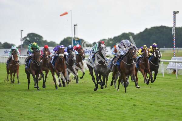 yr11062021r6-33 - Race 6 4.35pm Irish Thoroughbred Marketing Stakes