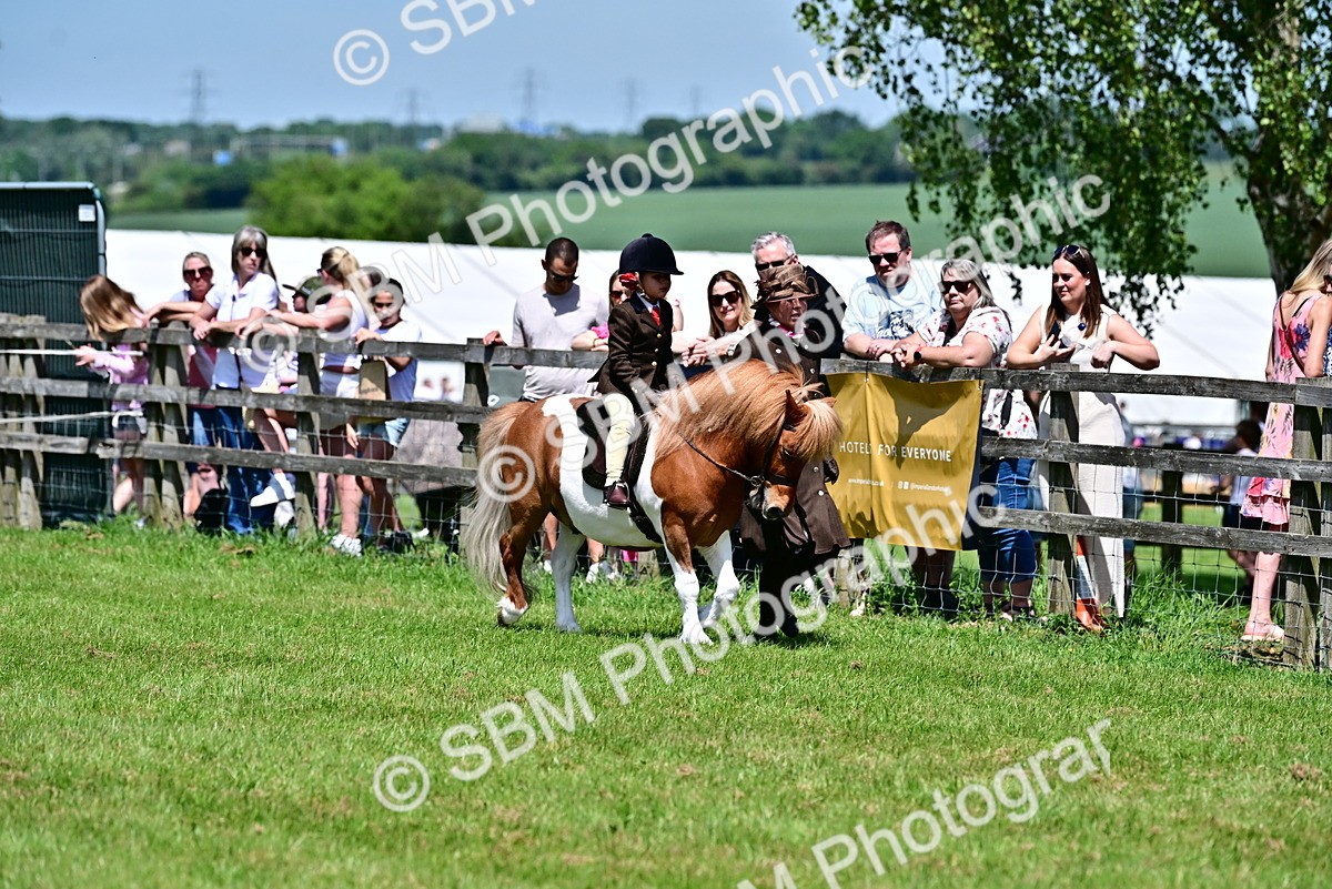 SBM_05805 - Class 59-60 - TSR M&M  Lear Rein and First Ridden Amateur of the year