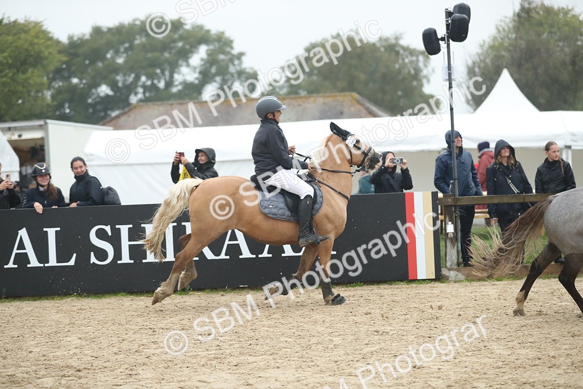 SBM_74353 - Supreme championship Junior Pony 70cm 75cm
