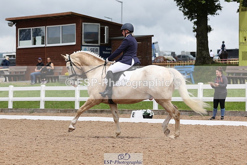 240622A-140446-11902 - Cls 29 BD Elementary 45