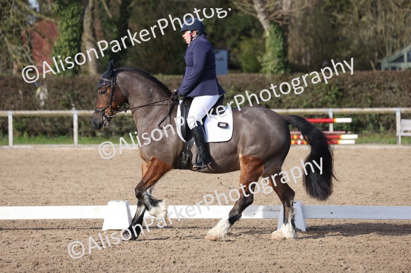 20260214-0590 - Class 5 - Novice 3