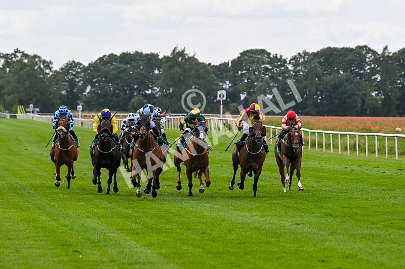 030824-Race 3-Alligator Alley-1649 - Race 3