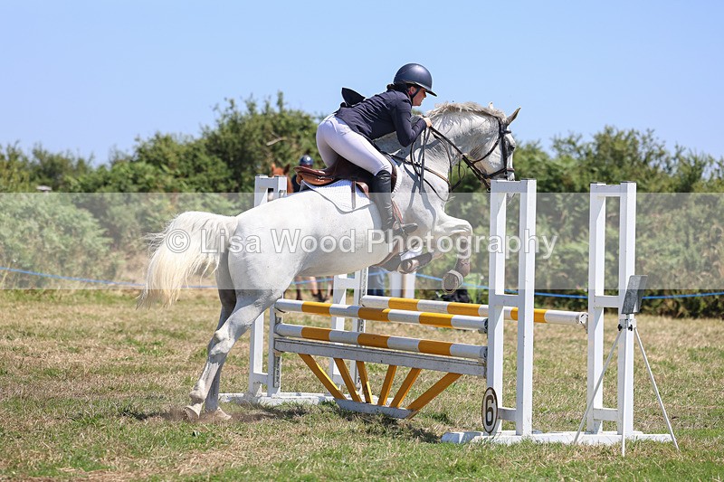 3E7A4399 - Class 10: Senior British Novice/90cm open