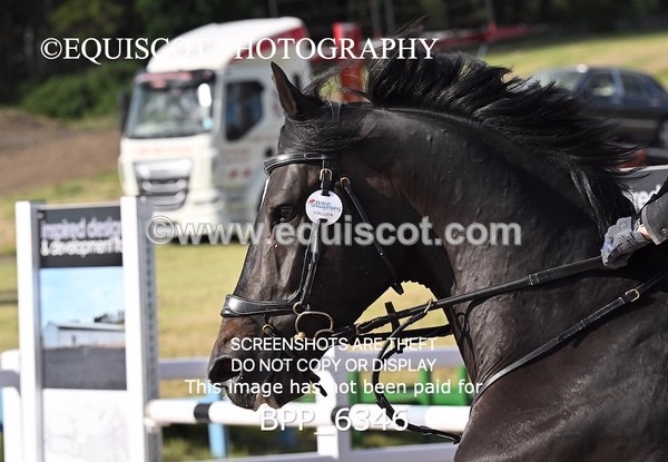 BPP_6346 - CLASS 11 THURS GFS Saddles Senior Newcomers/1.10m Open