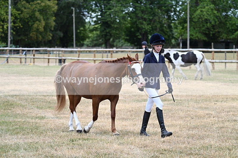 WJ7_1453 - Class 4 Prettiest Mare up to 14.2hh in hand